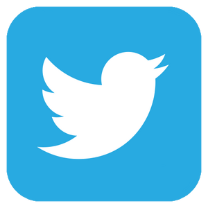 Twitter-logo-transparent.png